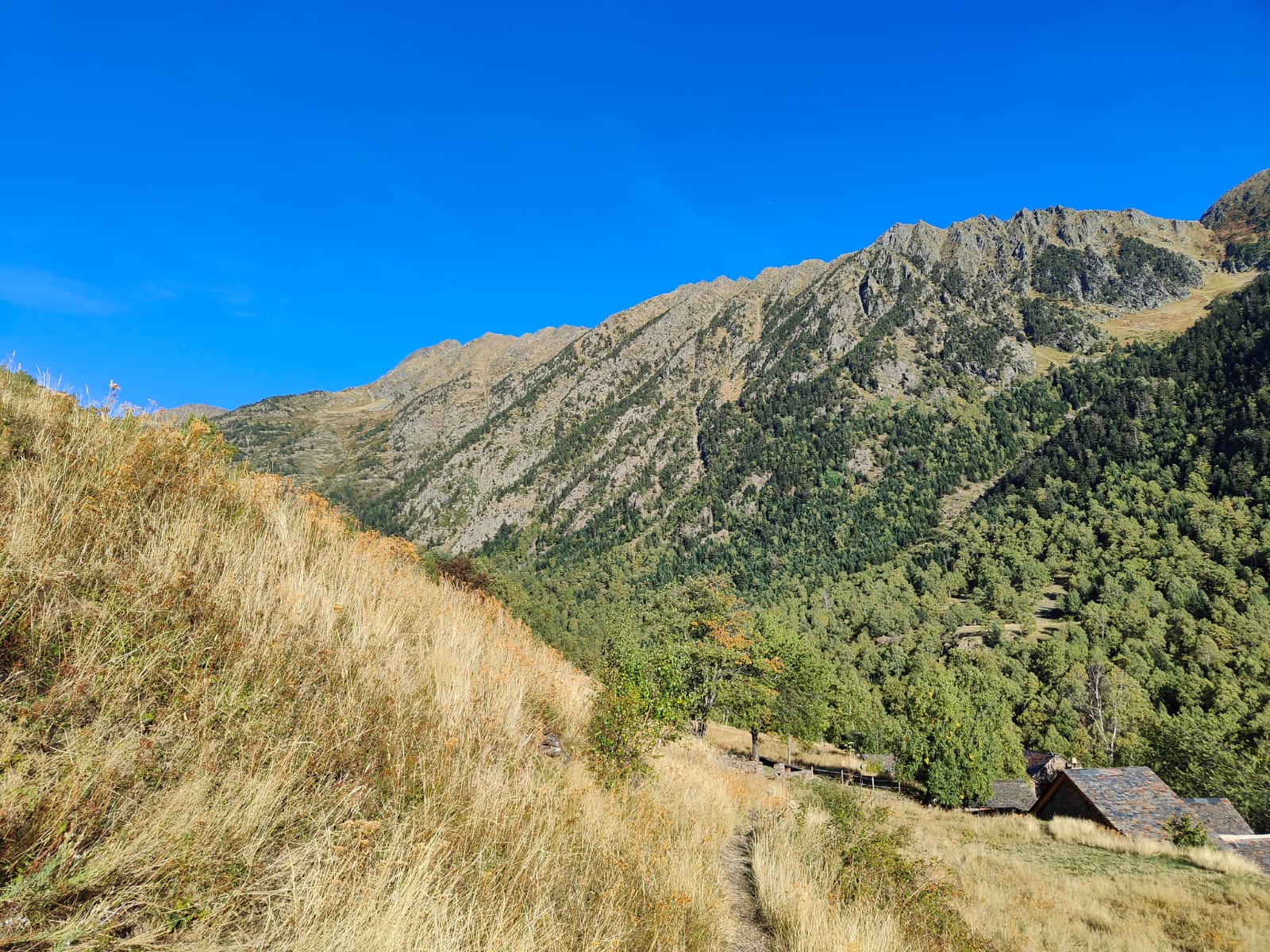 Actividades para empresas en el Pirineo