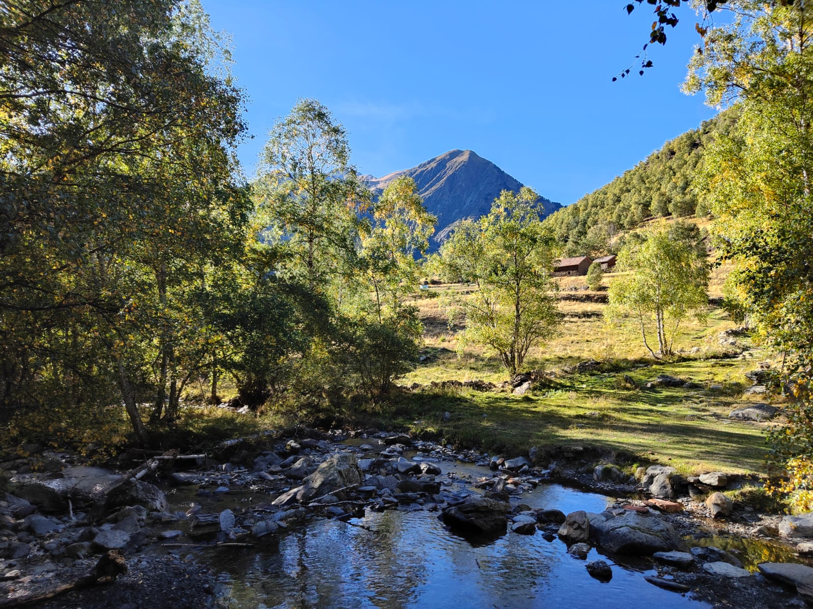 Actividad teambuilding en el Pirineo
